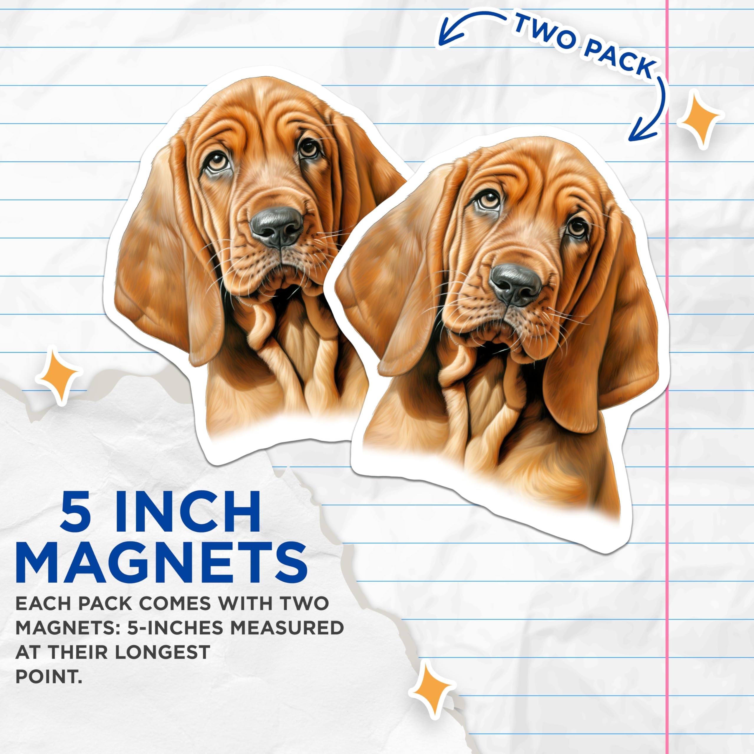 (2 Pack) Bloodhound Dog Magnets - Hound Lover Decor - Pet Owner Fridge Art - Dog Mom Dad Bloodhound Collectible - 5 Inches On Longest Side - Thick Durable Magnet - Made in USA - MAG30856