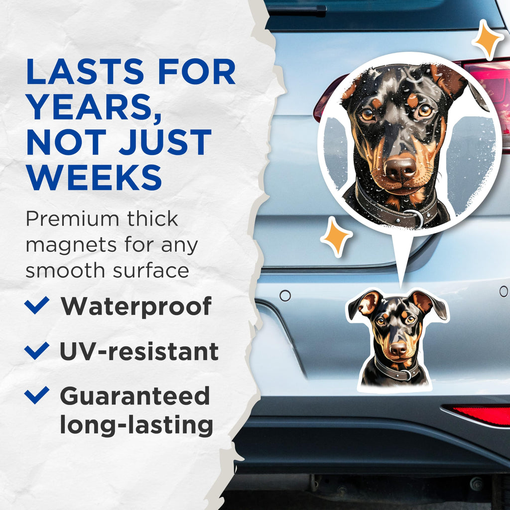 (2 Pack) Doberman Pinscher Dog Magnets - Realistic Pet Portrait - Dog Owner Home Decor - 5 Inches On Longest Side - Thick Durable Magnet - Made in USA - MAG28067
