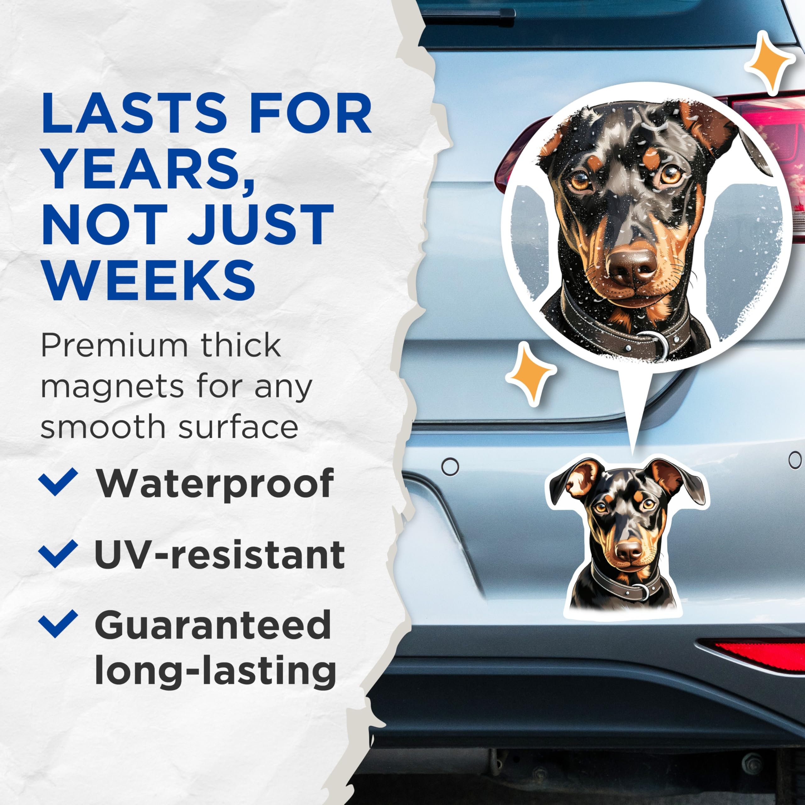 (2 Pack) Doberman Pinscher Dog Magnets - Realistic Pet Portrait - Dog Owner Home Decor - 5 Inches On Longest Side - Thick Durable Magnet - Made in USA - MAG28067