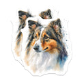 (2 Pack) Sheltie Magnets - Watercolor Dog Art - Shetland Sheepdog Decor - Canine Lover Magnet Set - 5 Inches On Longest Side - Thick Durable Magnet - Made in USA - MAG24365
