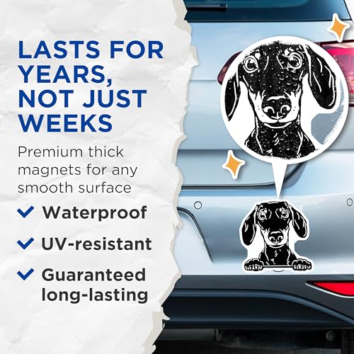(2 Pack) Dachshund Dog Magnets - Cute Dog Lover - Fun Animal Accessories for Home and Kitchen - 5" On Longest Side - for Cars, Fridges, Toolboxes - Made in USA - MAG4048