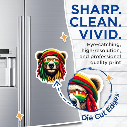 (2 Pack) Rasta Bear Magnets - Cool Fridge - Unique Kitchen ations - Colorful Animal Magnets - 5" On Longest Side - for Cars, Fridges, Toolboxes - Made in USA - MAG4383