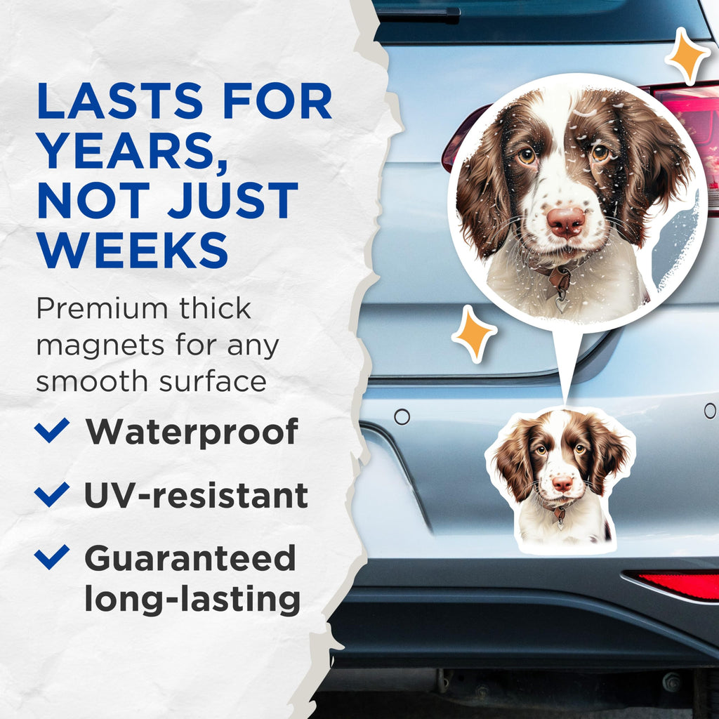 (2 Pack) Cute Springer Spaniel Puppy Magnets - Charming Dog Lover Refrigerator Decor - Pet Owner Kitchen Accessory Magnets - 5 Inches On Longest Side - Thick Durable Magnet - Made in USA - MAG23700