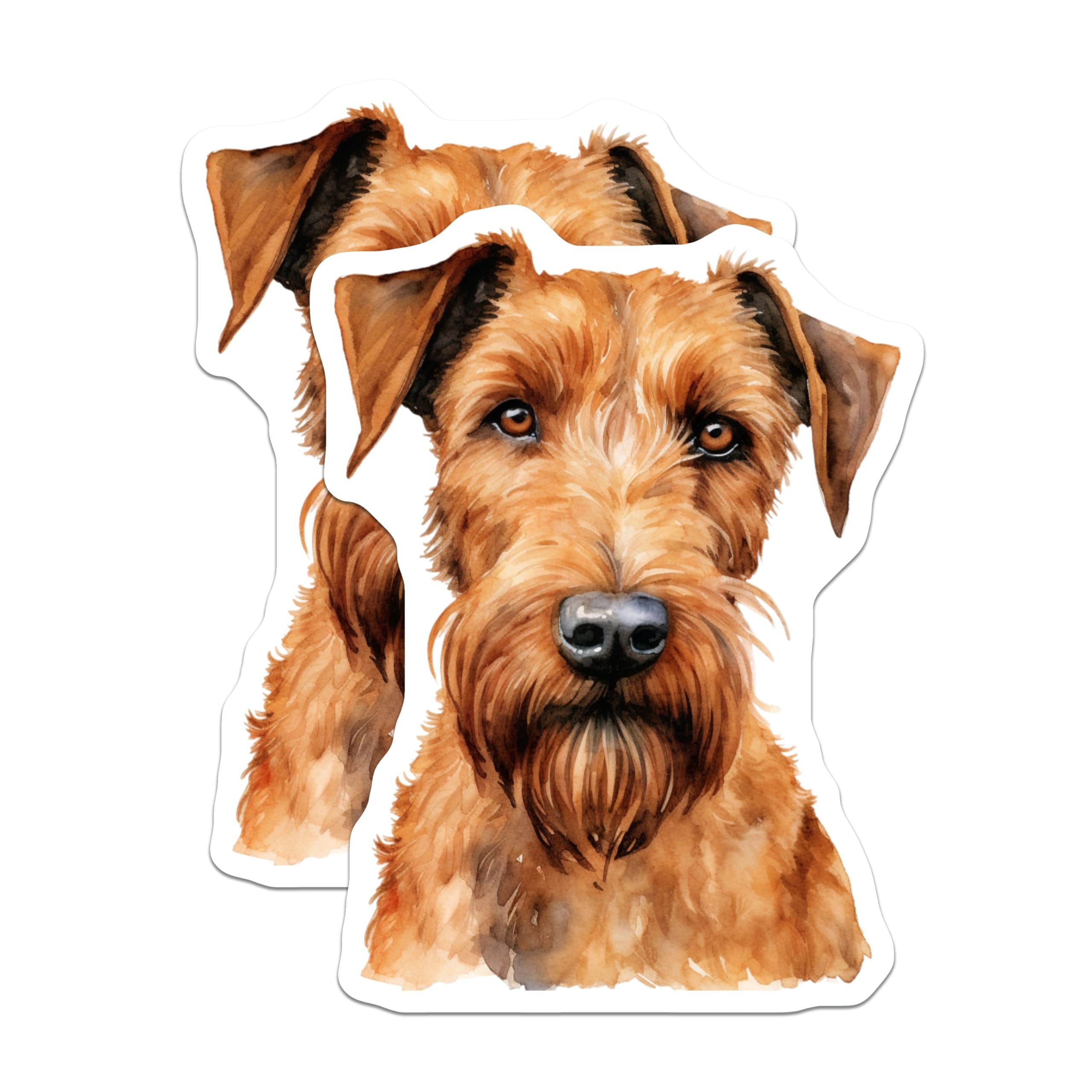 (2 Pack) Irish Terrier Dog Magnets - Watercolor Canine Art - Irish Terrier Lover Decor - Pet Breed Enthusiast Collectible - 5 Inches On Longest Side - Thick Durable Magnet - Made in USA - MAG24815