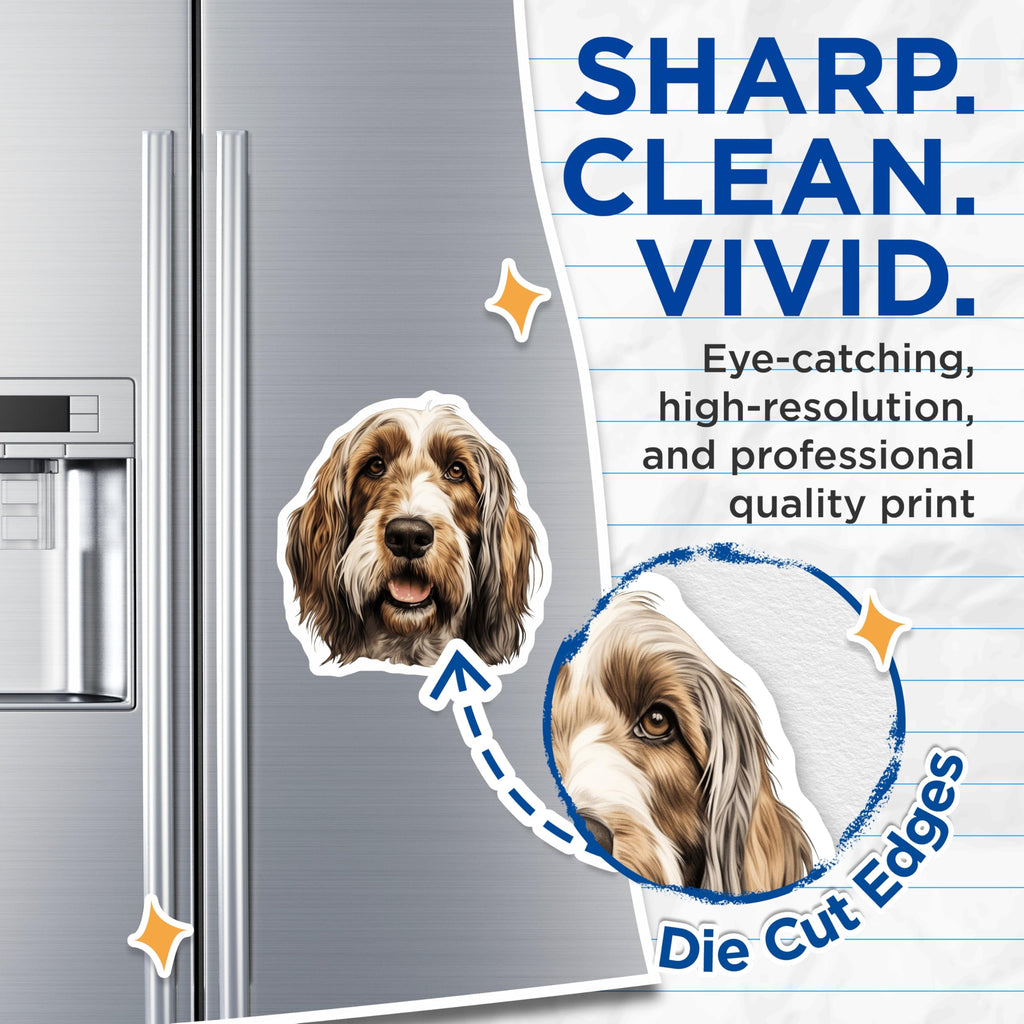 (2 Pack) Basset Griffon Vendeen Magnets - Scruffy Dog Breed Art - Hound Lover Decor - 5 Inches On Longest Side - Thick Durable Magnet - Made in USA - MAG23277