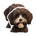 (2 Pack) Havanese Dog Magnets - Happy Fluffy Puppy Illustration - Pet Lover Home Decor - Adorable Canine Art Piece - 5 Inches On Longest Side - Thick Durable Magnet - Made in USA - MAG24156