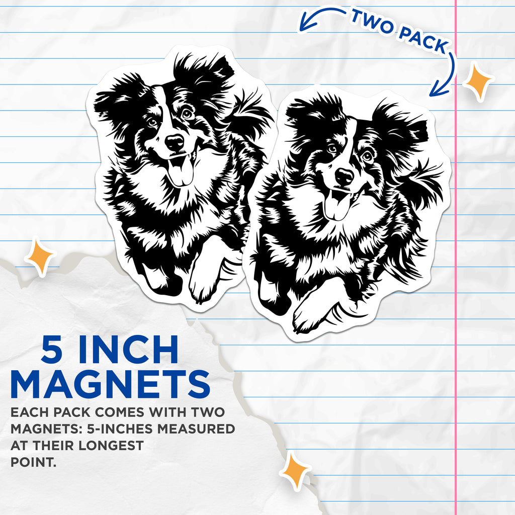 (2 Pack) Border Collie Magnets - Dog Lovers Decor - Pet Owner Appreciation Refrigerator Magnets - 5 Inches On Longest Side - Thick Durable Magnet - Made in USA - MAG39099