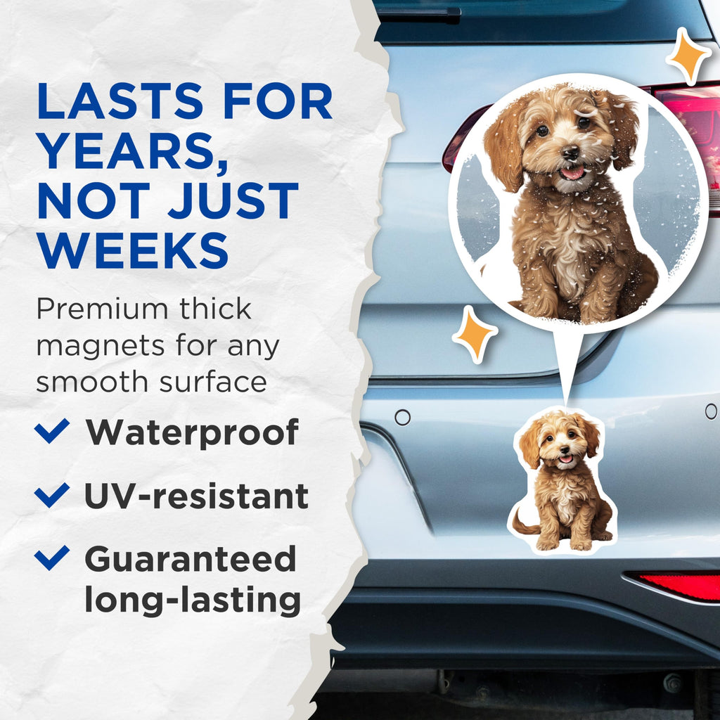(2 Pack) Cavapoo Puppies Magnets - Adorable Dog Lovers Decor - Cute Pet Owner Accessories - 5 Inches On Longest Side - Thick Durable Magnet - Made in USA - MAG24549