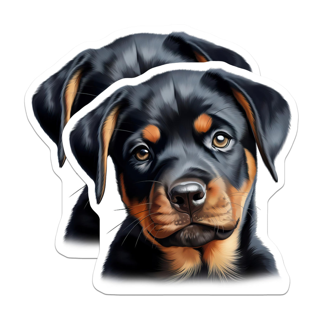 (2 Pack) Rottweiler Puppy Magnets - Dog Lover Decor - Pet Parent Accessory - 5 Inches On Longest Side - Thick Durable Magnet - Made in USA - MAG28700