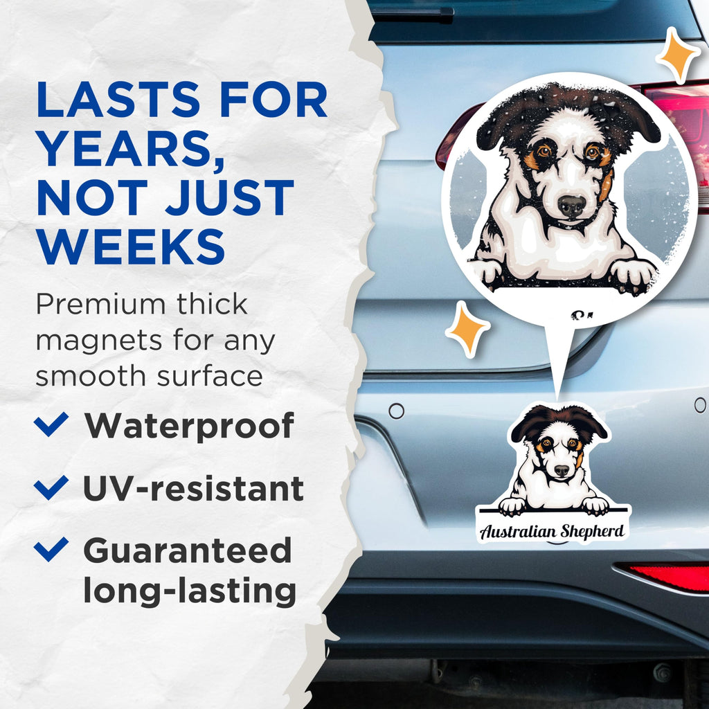 (2 Pack) Australian Shepherd Dog Magnets - Cute Puppy Ative Magnets - Pet Lover Kitchen - 5" On Longest Side - for Cars, Fridges, Toolboxes - Made in USA - MAG4230