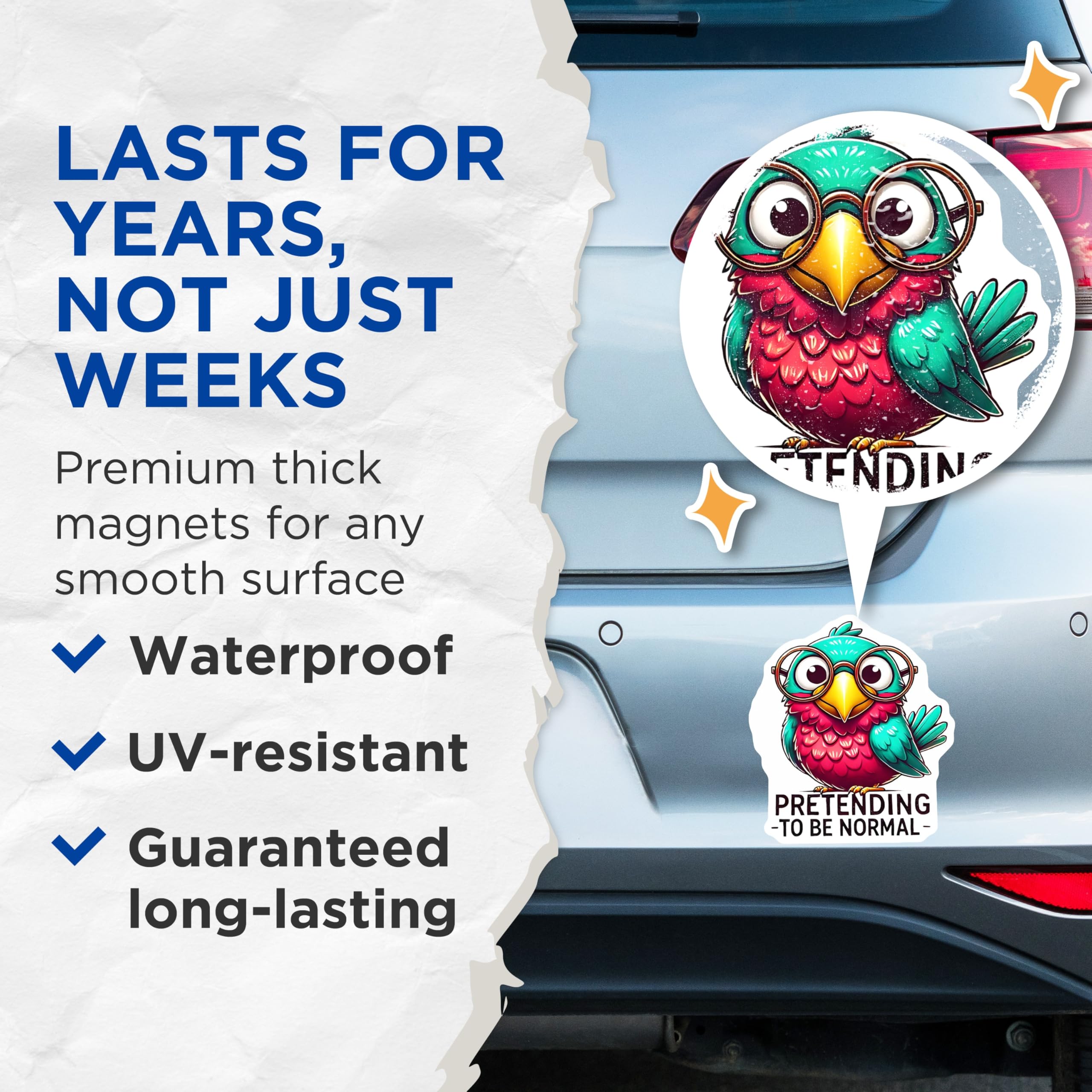 (2 Pack) Novelty Bird Magnets - Funny Animal Magnets - Quirky Bird with Glasses - 5" On Longest Side - Premium Magnet - for Cars, Refrigerators, Toolboxes, Lockers - Made in USA - MAG15978