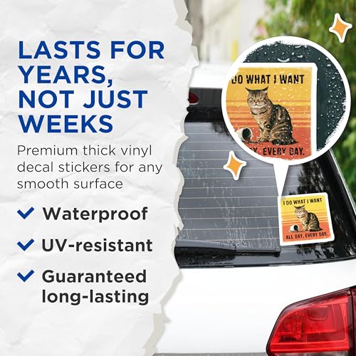 (2 Pack) Cat Humor Stickers - Funny Cat Quotes - All Day Every Day Cat Sticker Decal - 5" On Longest Side - Sticks to Smooth Flat Surfaces - Made in USA - BMCS5738