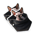(2 Pack) Sphynx Cat Magnets - Pocket Cat Art - Unique Fridge Magnets - 5" On Longest Side - Premium Magnet - for Cars, Refrigerators, Toolboxes, Lockers - Made in USA - MAG16068