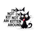 (2 Pack) Funny Cat Magnets - Goofy Kitten Decor - Sarcastic Pet Lovers - 5" On Longest Side - Premium Magnet - for Cars, Refrigerators, Toolboxes, Lockers - Made in USA - MAG14067
