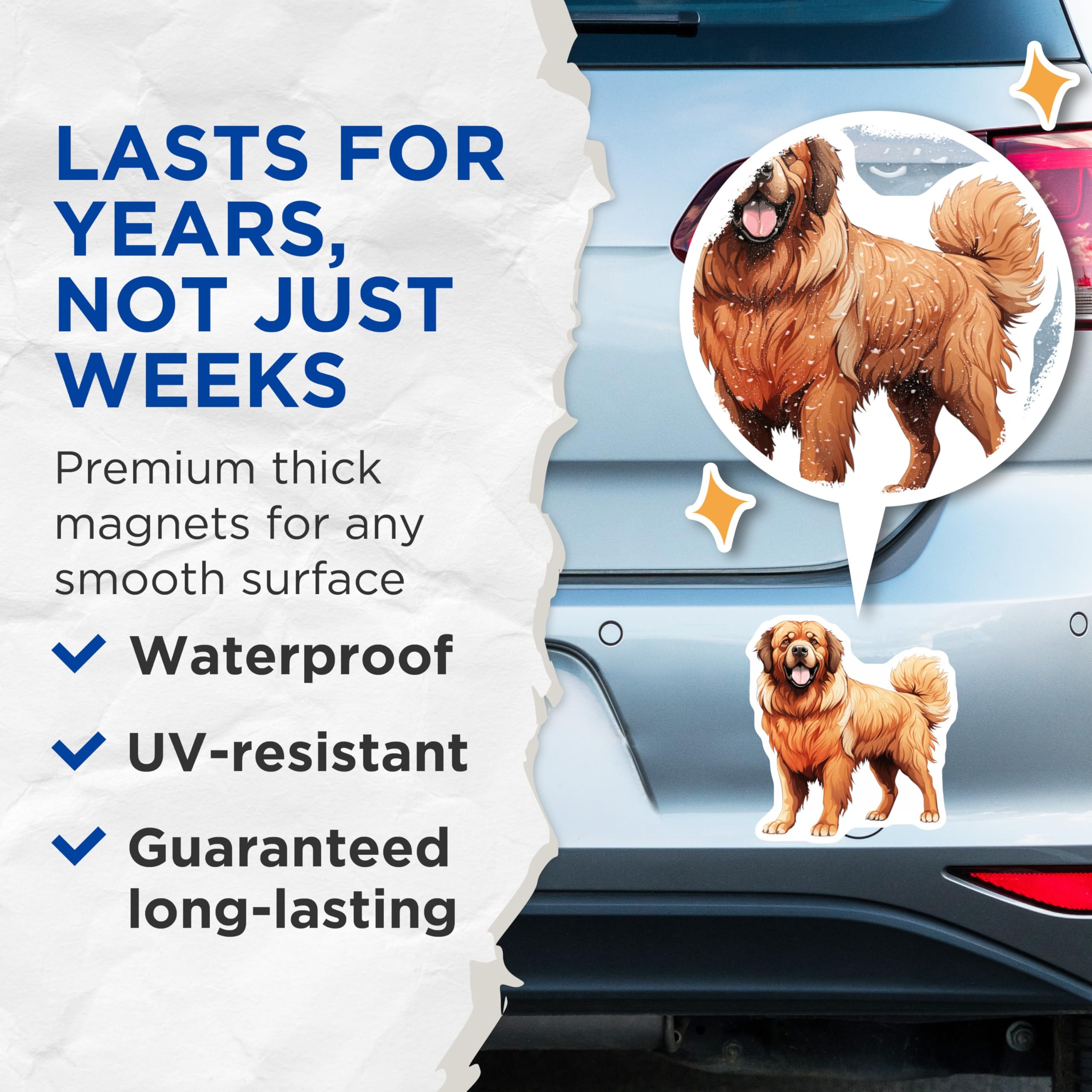 (2 Pack) Tibetan Mastiff Dog Magnets - Large Breed Pet Owner - Animal Lover Refrigerator Decor - Fluffy Canine Art - 5 Inches On Longest Side - Thick Durable Magnet - Made in USA - MAG27635
