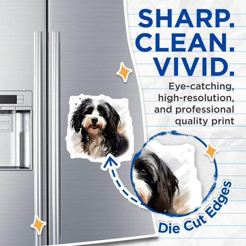 (2 Pack) Adorable Fluffy Dog Magnets - Cute Black White Dog Art - Pet Lover Refrigerator Decor Locker Magnet - 5 Inches On Longest Side - Thick Durable Magnet - Made in USA - MAG28845