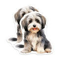 (2 Pack) Cute Watercolor Dog Magnets - Fluffy Puppy Pet Art - Havanese Shih Tzu Dog Mom Décor - 5 Inches On Longest Side - Thick Durable Magnet - Made in USA - MAG26219