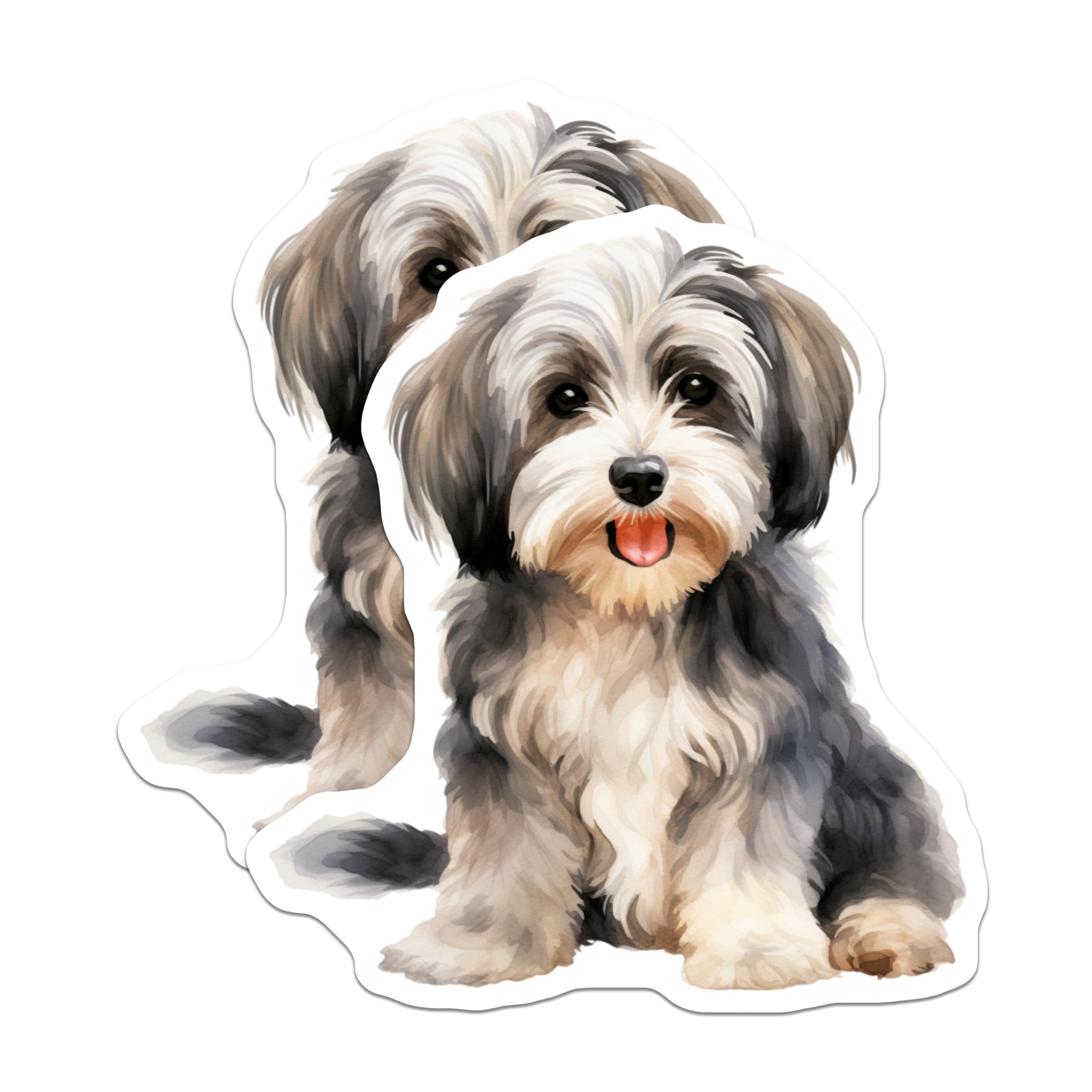 (2 Pack) Cute Watercolor Dog Magnets - Fluffy Puppy Pet Art - Havanese Shih Tzu Dog Mom Décor - 5 Inches On Longest Side - Thick Durable Magnet - Made in USA - MAG26219