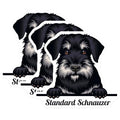 (3 Pack) Standard Schnauzer Decals - Dog Breed Stickers - Pet Lover Decor - 3 Inches On Longest Side - Easy Peel & Apply - Made in USA - 3MCS2994