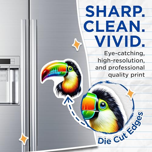 (2 Pack) Toucan Art Magnets - Rainbow Bird Fridge Magnets - Colorful Tropical Magnets for Home or Office - 5" On Longest Side - for Cars, Fridges, Toolboxes - Made in USA - MAG4520