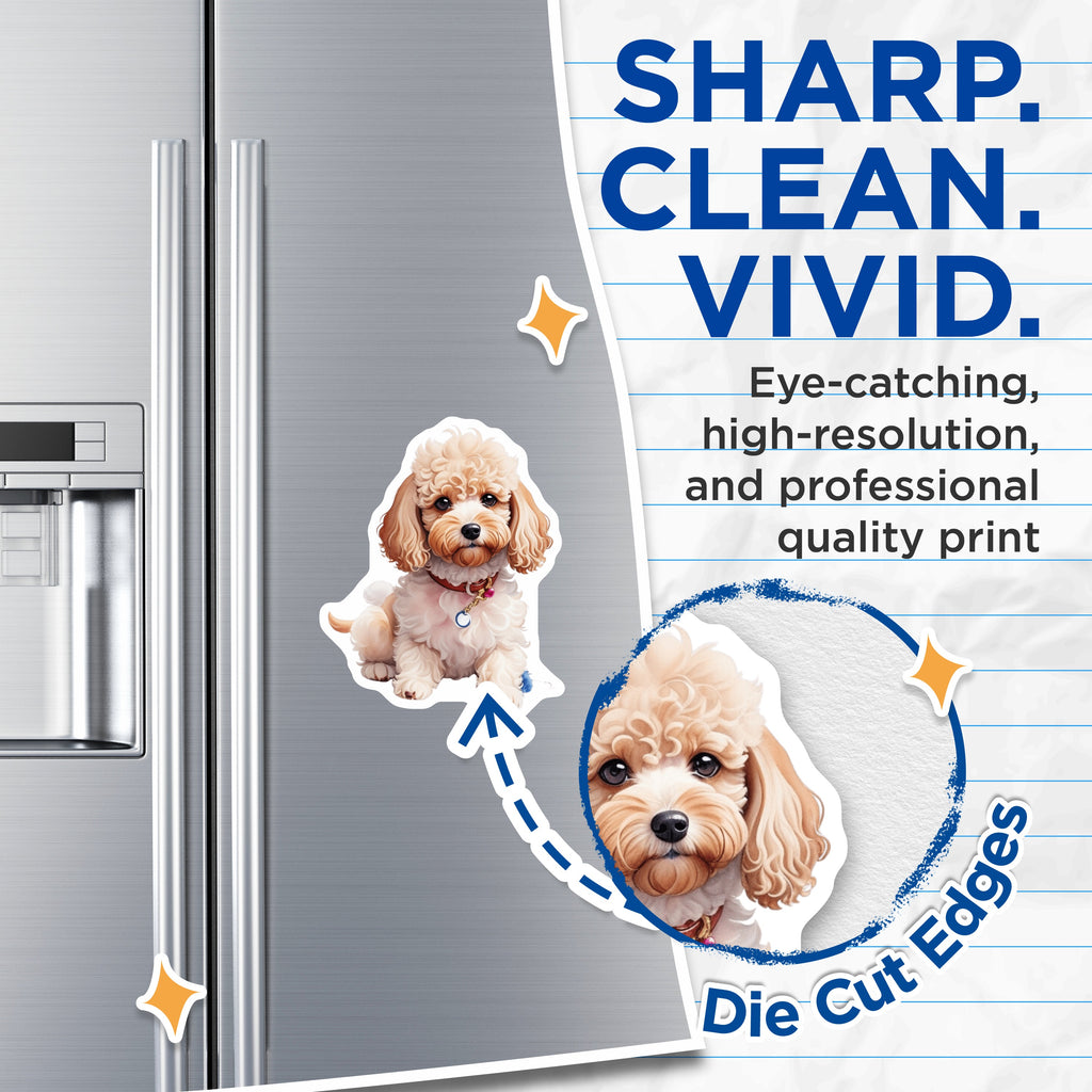 (2 Pack) Cute Poodle Puppy Magnets - Fluffy Dog Lover Refrigerator Decor - Adorable Doodle Pet Artwork for Dog Mom Kitchen Accessory - 5" - Thick Durable Magnet - Made in USA - MAG39365