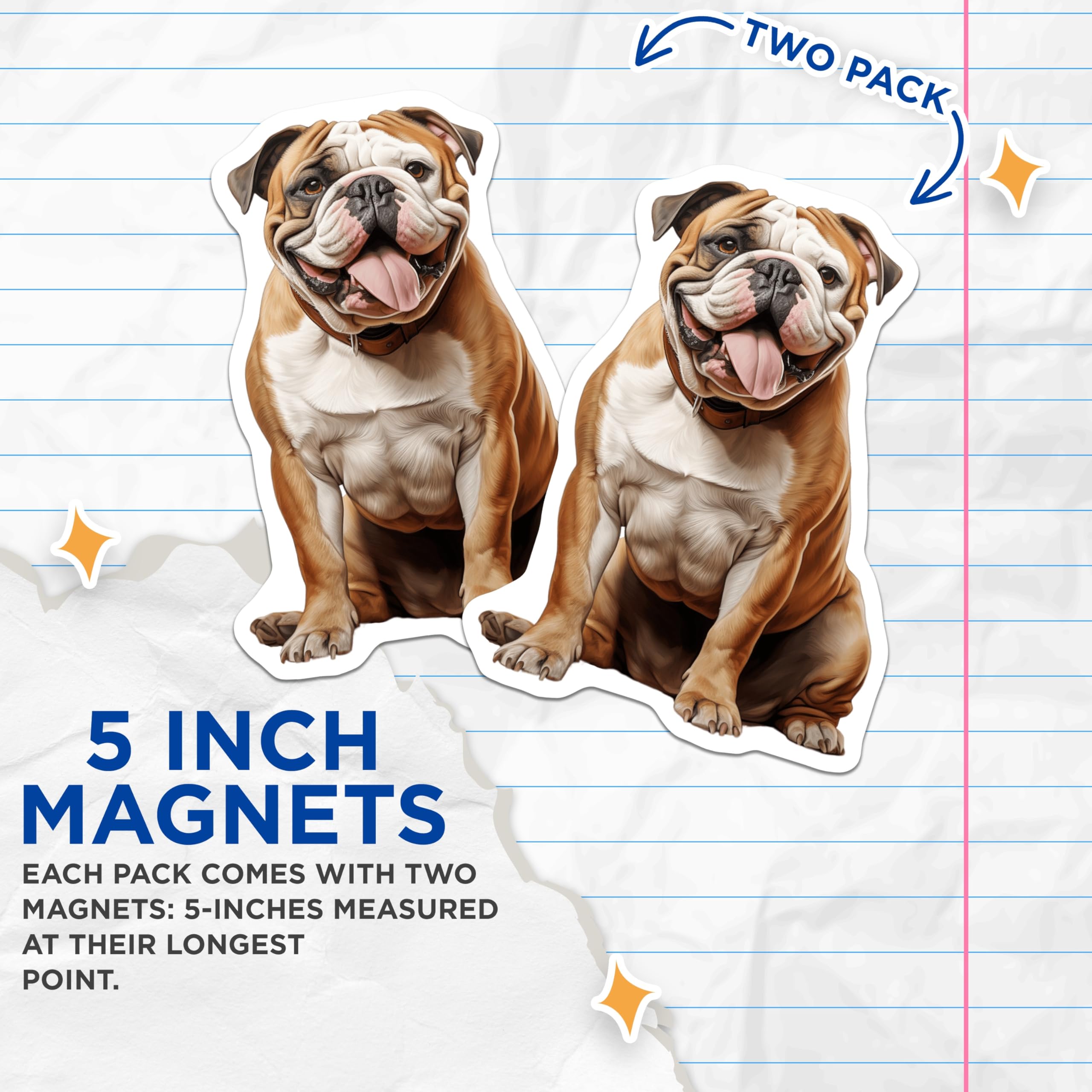 (2 Pack) English Bulldog Magnets - Adorable Dog Breed Art - Pet Lover Fridge Decor - Happy British Bulldog Locker Accessory - 5 Inches On Longest Side - Thick Durable Magnet - Made in USA - MAG24712