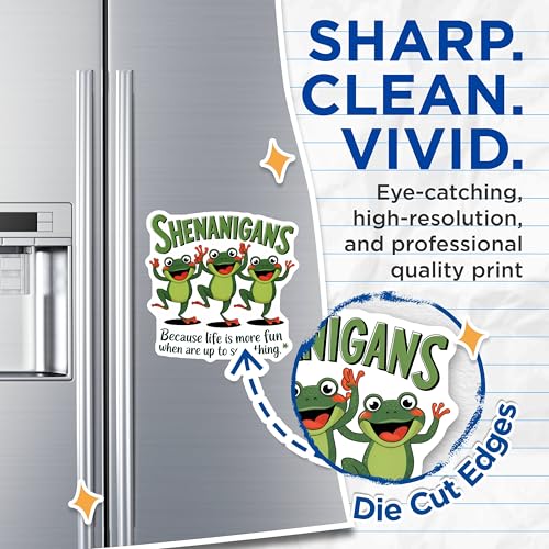 (2 Pack) Sheigans Magnets - Frog Art Magnets - Life is Fun Magnets - 5" On Longest Side - for Cars, Fridges, Toolboxes - Made in USA - MAG6989