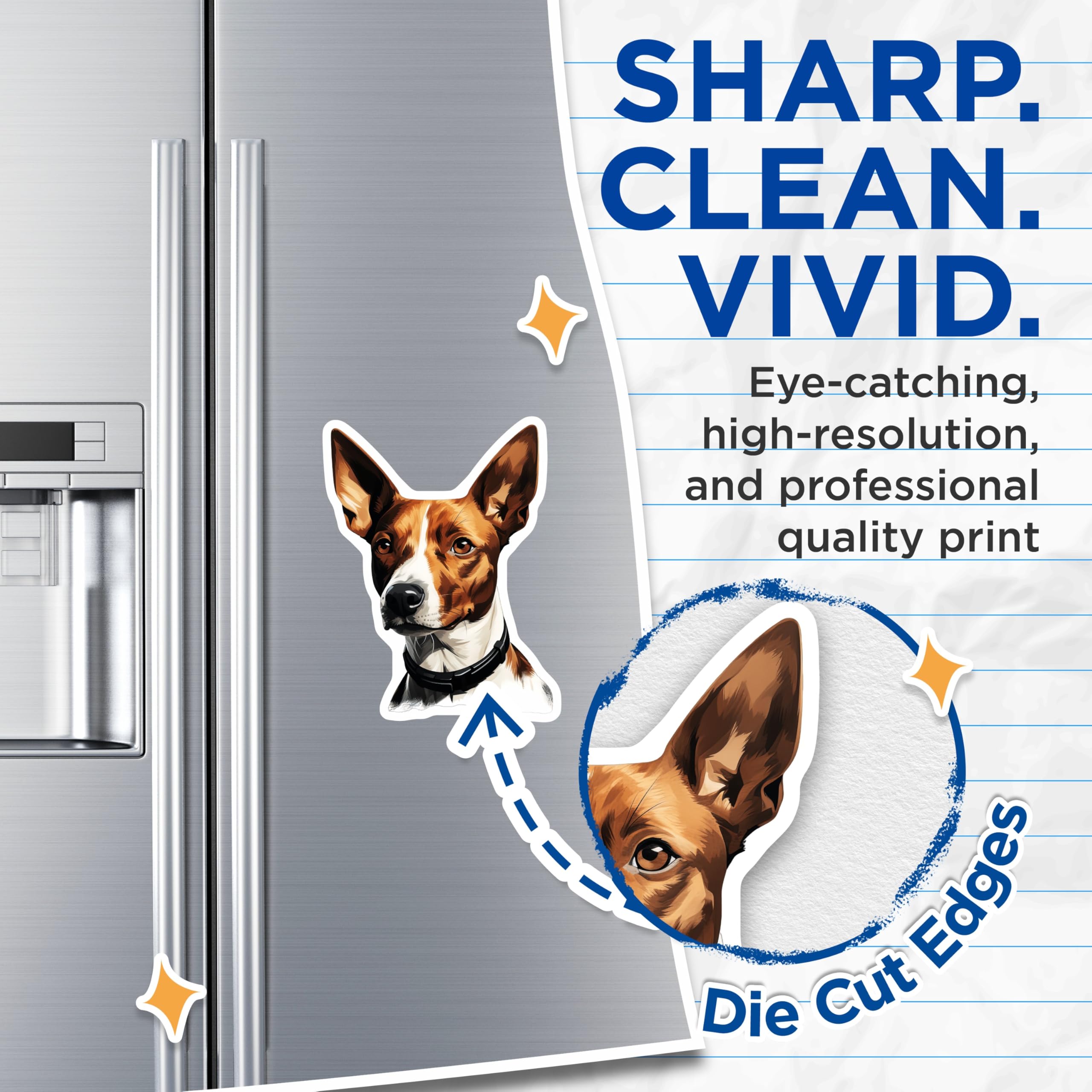 (2 Pack) Basenji Dog Magnets - Pet Lover Fridge Decor - Unique Animal Breed Art for Dog Moms and Dads - 5 Inches On Longest Side - Thick Durable Magnet - Made in USA - MAG25042
