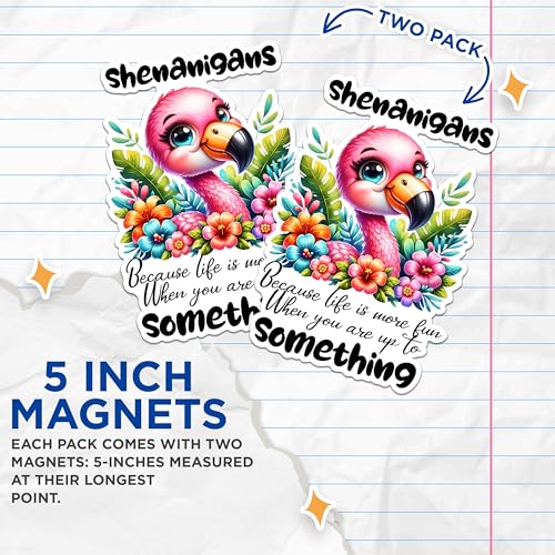 (2 Pack) Sheigans Magnets - Flamingo Fun Magnets - Colorful Animal Magnets - Life is Fun Quote Magnets- 5" On Longest Side - for Fridges, Toolboxes, Cars - Made in USA - MAG2938