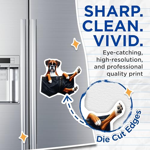 (2 Pack) Boxer Dog Magnets - Funny Fridge - Animal Lover Essential - 5" On Longest Side - for Cars, Fridges, Toolboxes - Made in USA - MAG3949