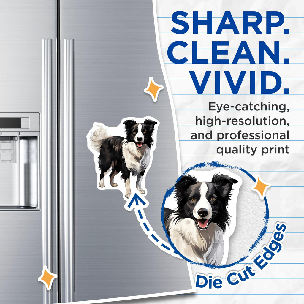 (2 Pack) Border Collie Magnets - Dog Lover Fridge Decor - Pet Owner Car Accessory - Canine Art Collector Item - 5 Inches On Longest Side - Thick Durable Magnet - Made in USA - MAG28560