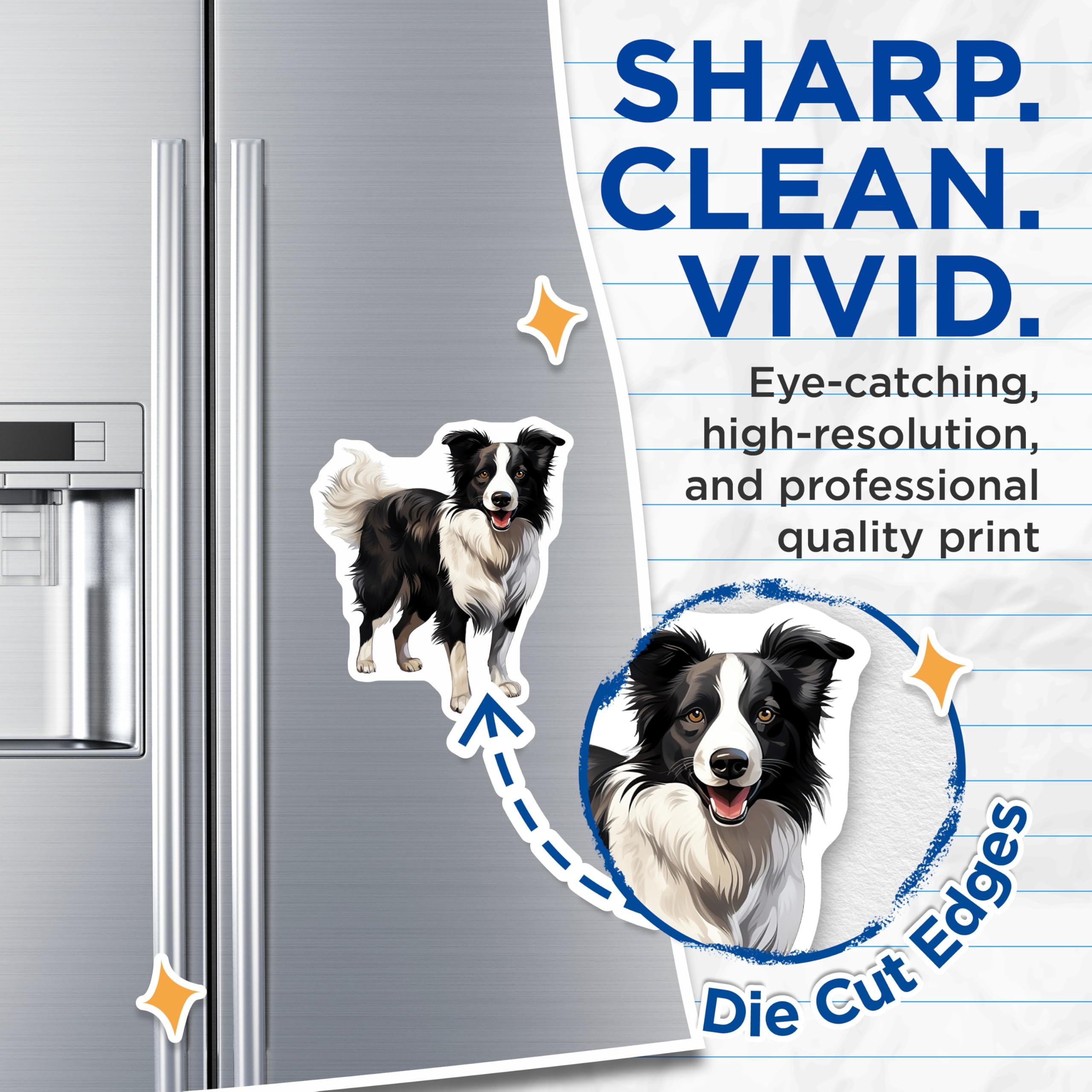 (2 Pack) Border Collie Magnets - Dog Lover Fridge Decor - Pet Owner Car Accessory - Canine Art Collector Item - 5 Inches On Longest Side - Thick Durable Magnet - Made in USA - MAG28560