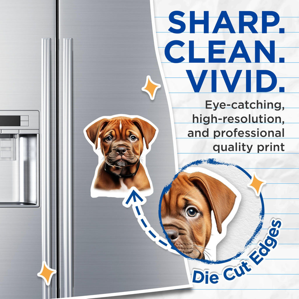 (2 Pack) Cute Puppy Magnets - Adorable Dog Lover Decor - Fridge Locker Office Accessories - 5 Inches On Longest Side - Thick Durable Magnet - Made in USA - MAG26175
