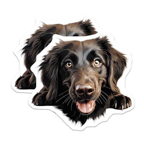 (2 Pack) Pet Lover Decor Magnet - 5" On Longest Side - Sticks to Smooth Flat Surfaces - Made in USA - MAG10168
