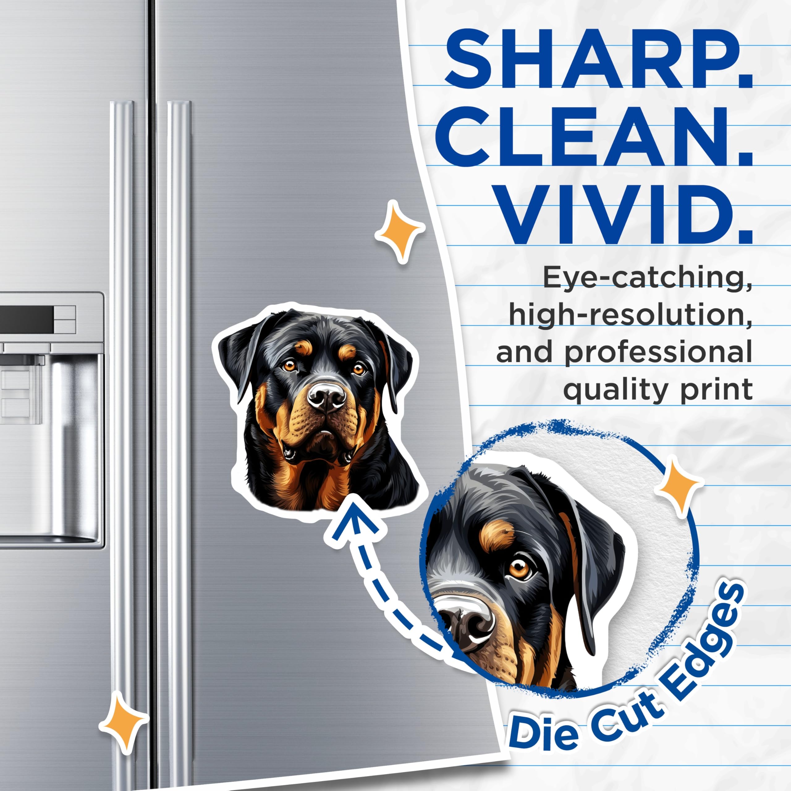 (2 Pack) Rottweiler Dog Magnets - Powerful Canine Portrait - Dog Breed Admirer Art - Pet Lover Collection - 5 Inches On Longest Side - Thick Durable Magnet - Made in USA - MAG24202