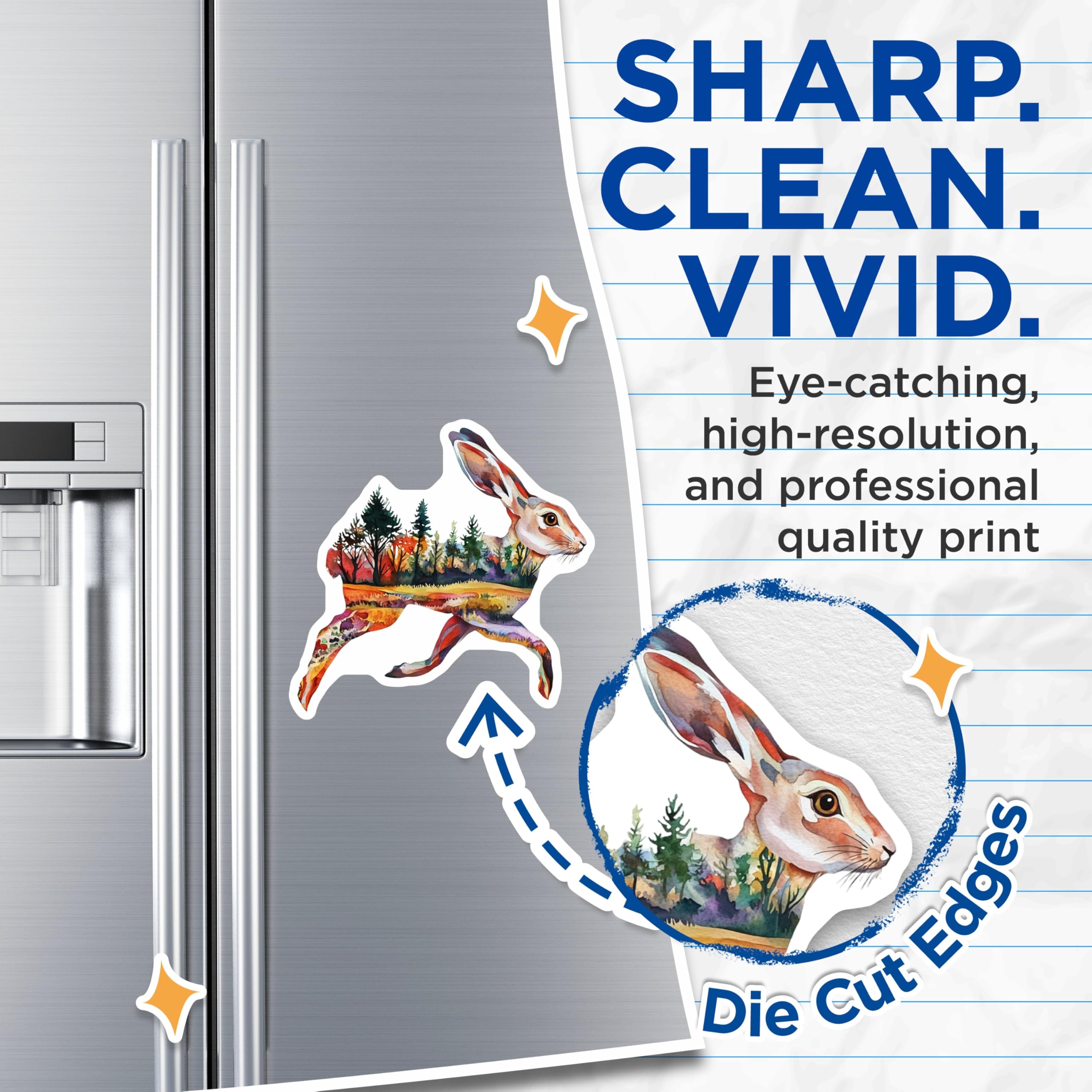(2 Pack) Hare Magnets - Rabbit Refrigerator Magnets - Watercolor Art Magnets - 5" On Longest Side - Premium Magnet - for Cars, Refrigerators, Toolboxes, Lockers - Made in USA - MAG15561