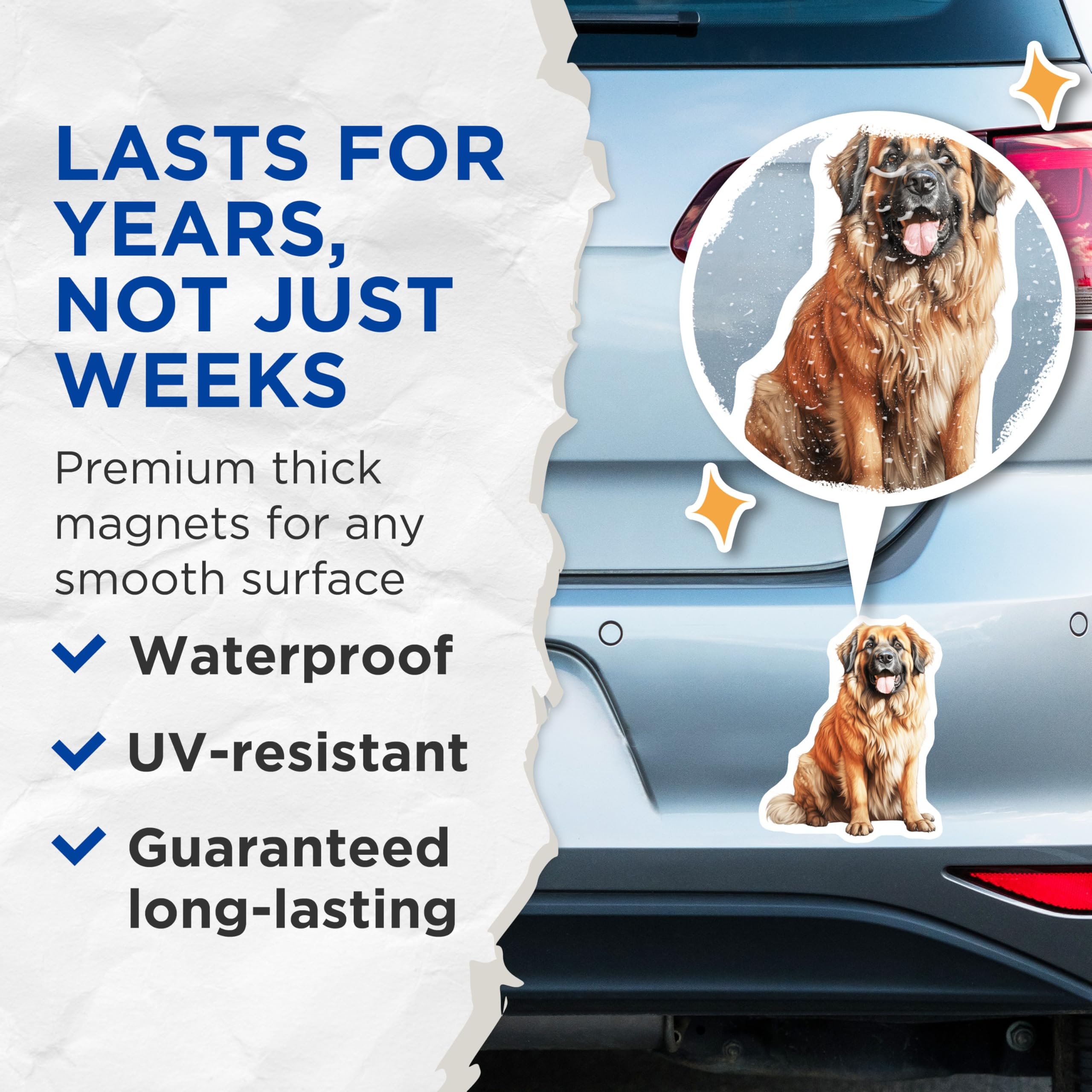 (2 Pack) Leonberger Dog Magnets - Realistic Pet Portrait - Dog Breed Decor for Fridge Home Locker Animal Lover - 5 Inches On Longest Side - Thick Durable Magnet - Made in USA - MAG30072
