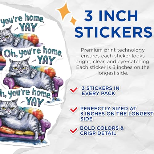 (3 Pack) Grumpy Cat Decals - Homebody Feline - Sarcastic Kitty Laptop Decals - 3 Inches On Longest Side - Easy Peel & Apply - Made in USA - 3MCS7324