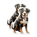 (2 Pack) Entlebucher Mountain Dog Magnets - Swiss Canine Enthusiast Decor - Fridge Locker Pet Portrait Magnet for Dog Lovers - 5 Inches On Longest Side - Thick Durable Magnet - Made in USA - MAG24827