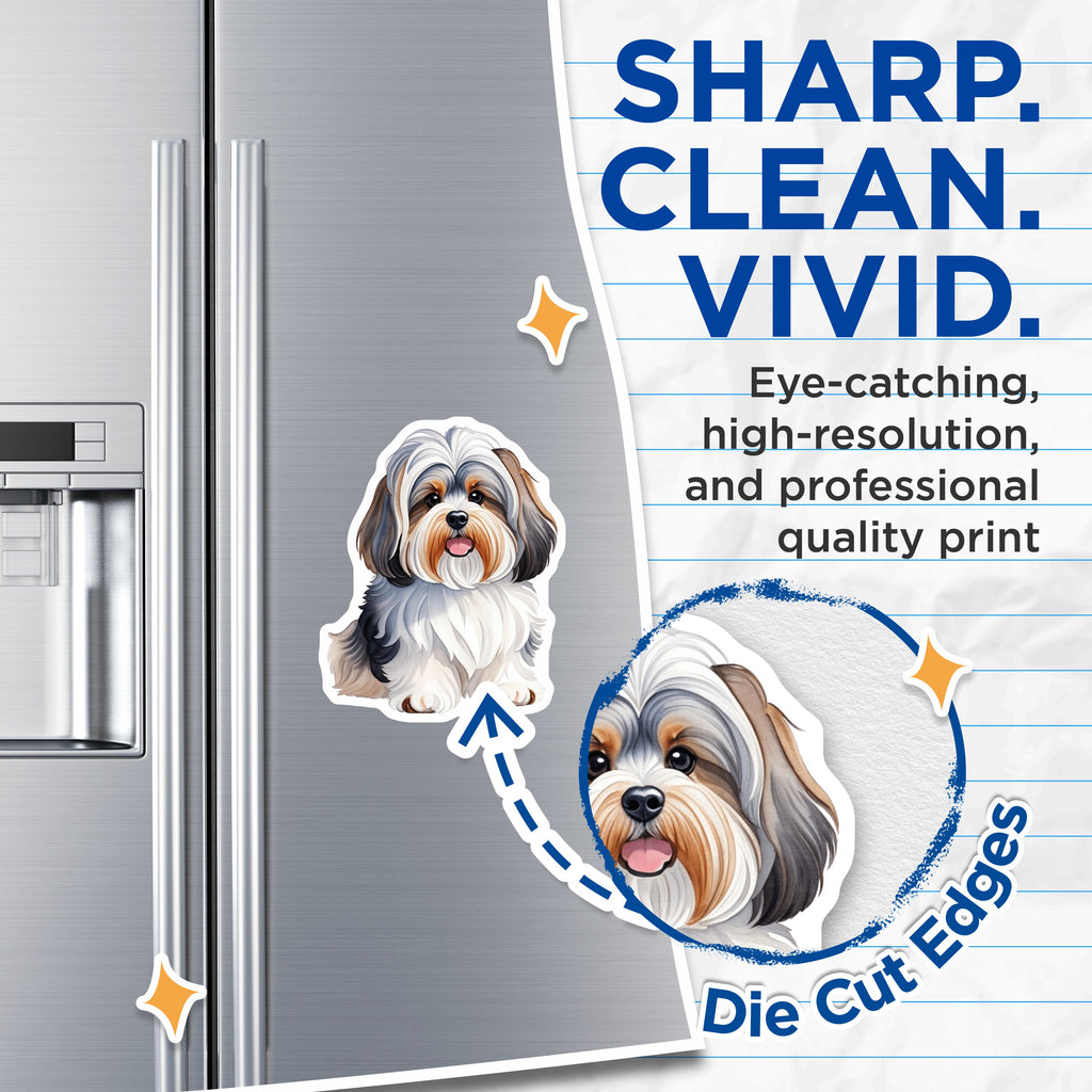(2 Pack) Cute Havanese Dog Magnets - Watercolor Pet Art - Fluffy Puppy Lover Decor - Dog Mom Friend Accents - 5 Inches On Longest Side - Thick Durable Magnet - Made in USA - MAG36861