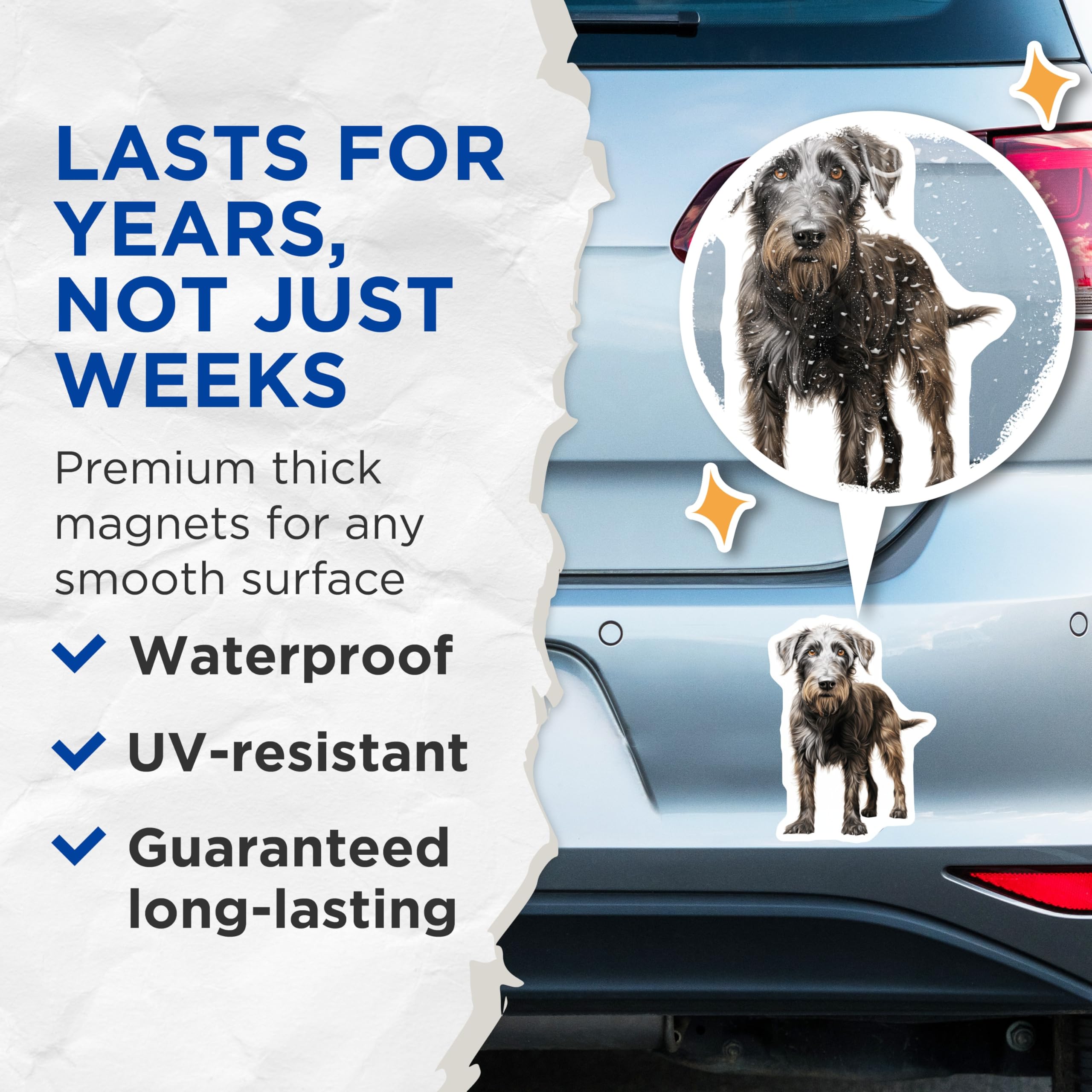 (2 Pack) Schnauzer Dog Magnets - Wire Haired Pet Art - Dog Lover Refrigerator Decor - 5 Inches On Longest Side - Thick Durable Magnet - Made in USA - MAG28706