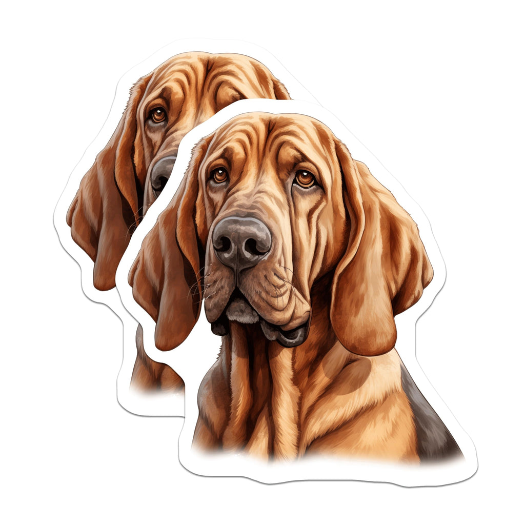 (2 Pack) Bloodhound Dog Magnets - Dog Lover Magnet Set - Dog Mom Dad Present - 5 Inches On Longest Side - Thick Durable Magnet - Made in USA - MAG28413