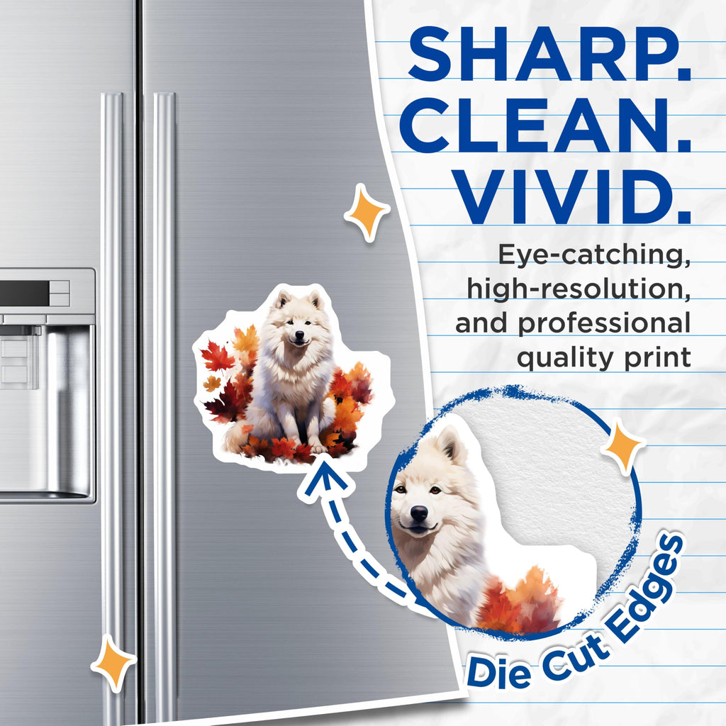 (2 Pack) Samoyed Dog Magnets - Fall Autumn Decor - Pet Lover Refrigerator Magnets - 5 Inches On Longest Side - Thick Durable Magnet - Made in USA - MAG25532