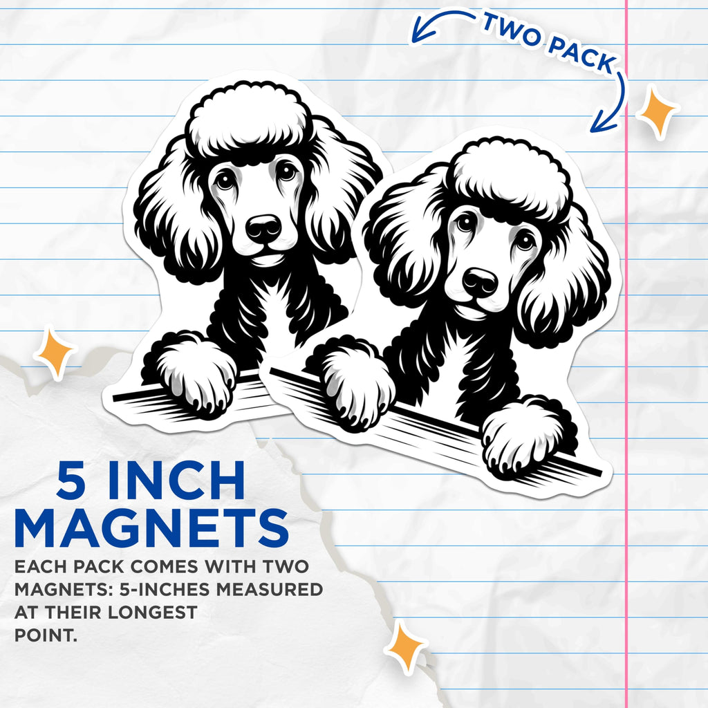 (2 Pack) Poodle Dog Magnets - Cute Puppy Breed - Refrigerator Decor - 5" On Longest Side - Premium Magnet - for Cars, Refrigerators, Toolboxes, Lockers - Made in USA - MAG14099