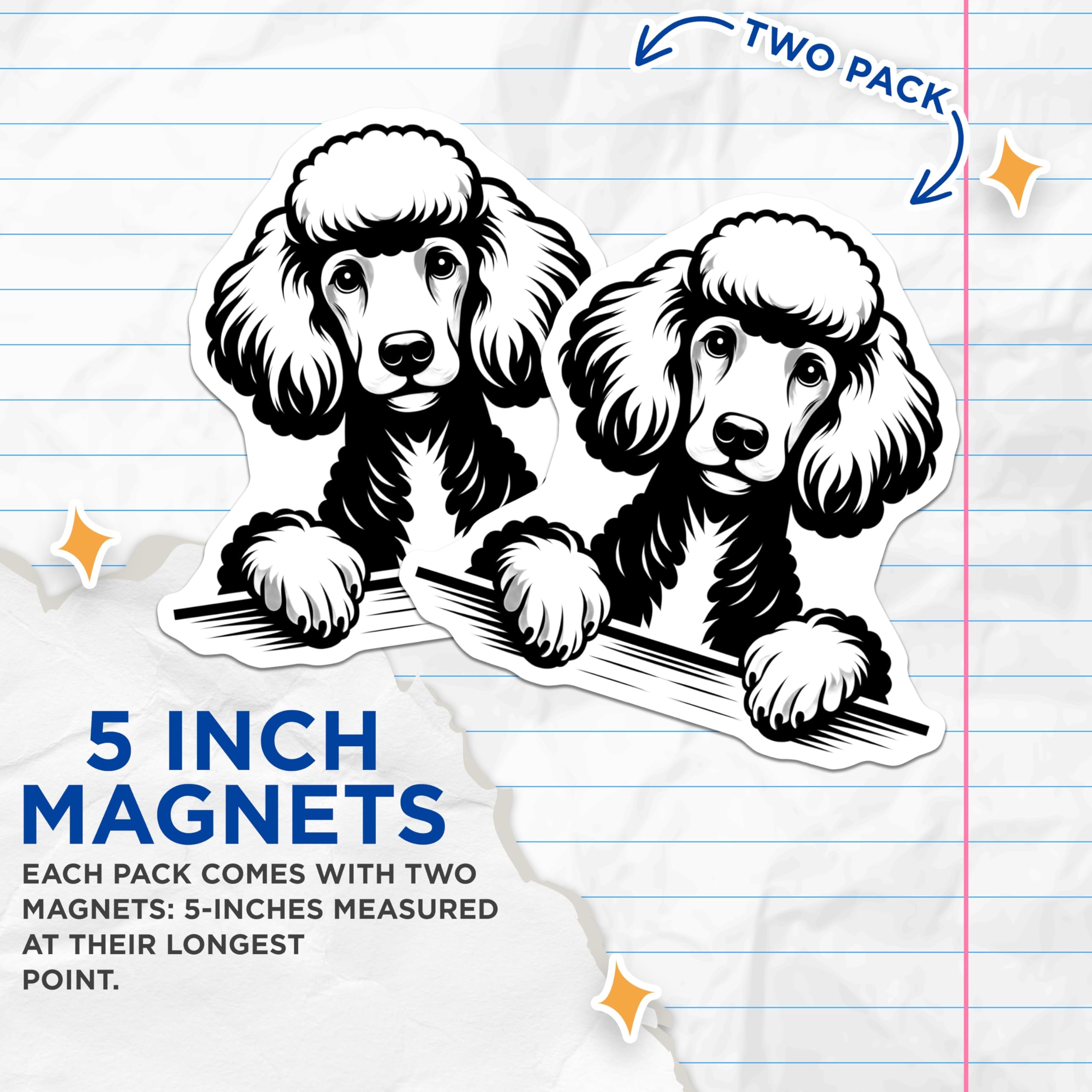 (2 Pack) Poodle Dog Magnets - Cute Puppy Breed - Refrigerator Decor - 5" On Longest Side - Premium Magnet - for Cars, Refrigerators, Toolboxes, Lockers - Made in USA - MAG14099