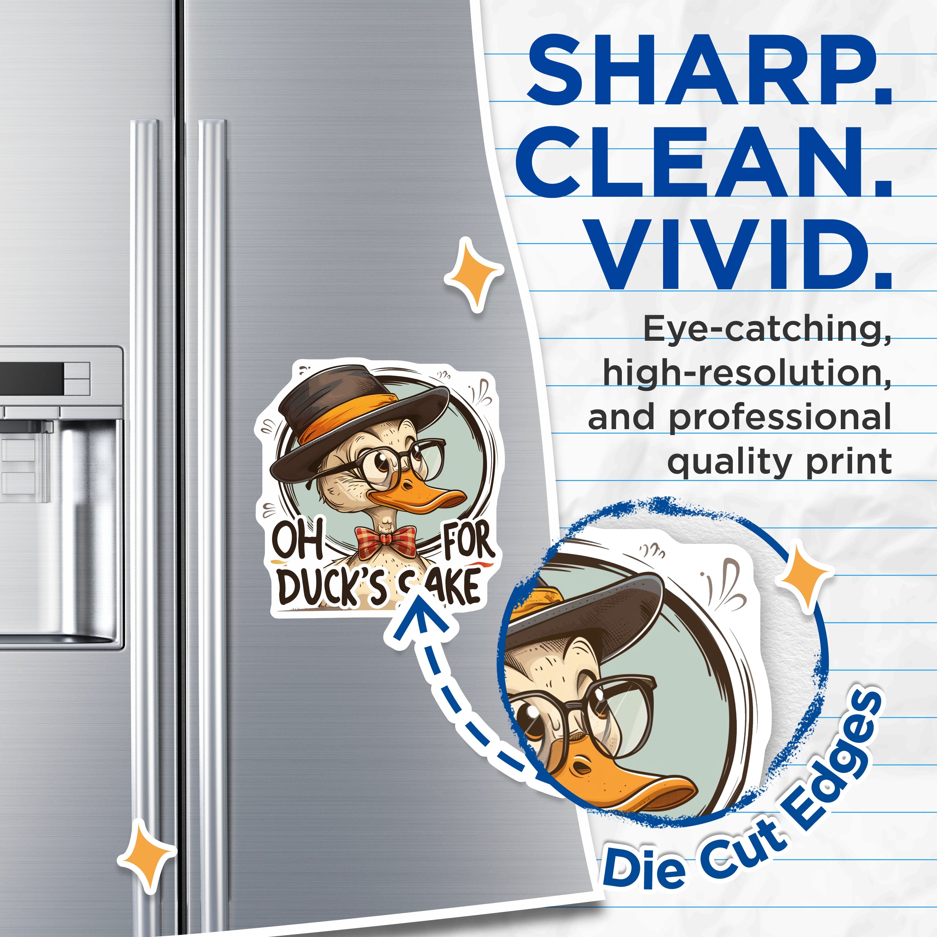 (2 Pack) Oh for Duck's Sake Magnets - Funny Duck Sayings - Sarcastic Animal Decor - Clever Pun - Quirky Kitchen Item - 5 Inches On Longest Side - Thick Durable Magnet - Made in USA - MAG38661