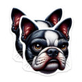 (2 Pack) Boston Terrier Magnets - Dog Lover Decor - Fridge Locker Magnets - 5" On Longest Side - Premium Magnet - for Cars, Refrigerators, Toolboxes, Lockers - Made in USA - MAG14464