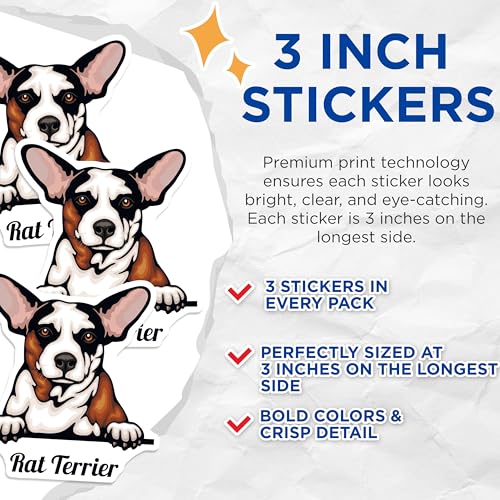 (3 Pack) Rat Terrier Decals - Dog Breed Stickers - Laptop Stickers - 3 Inches On Longest Side - Easy Peel & Apply - Made in USA - 3MCS2989