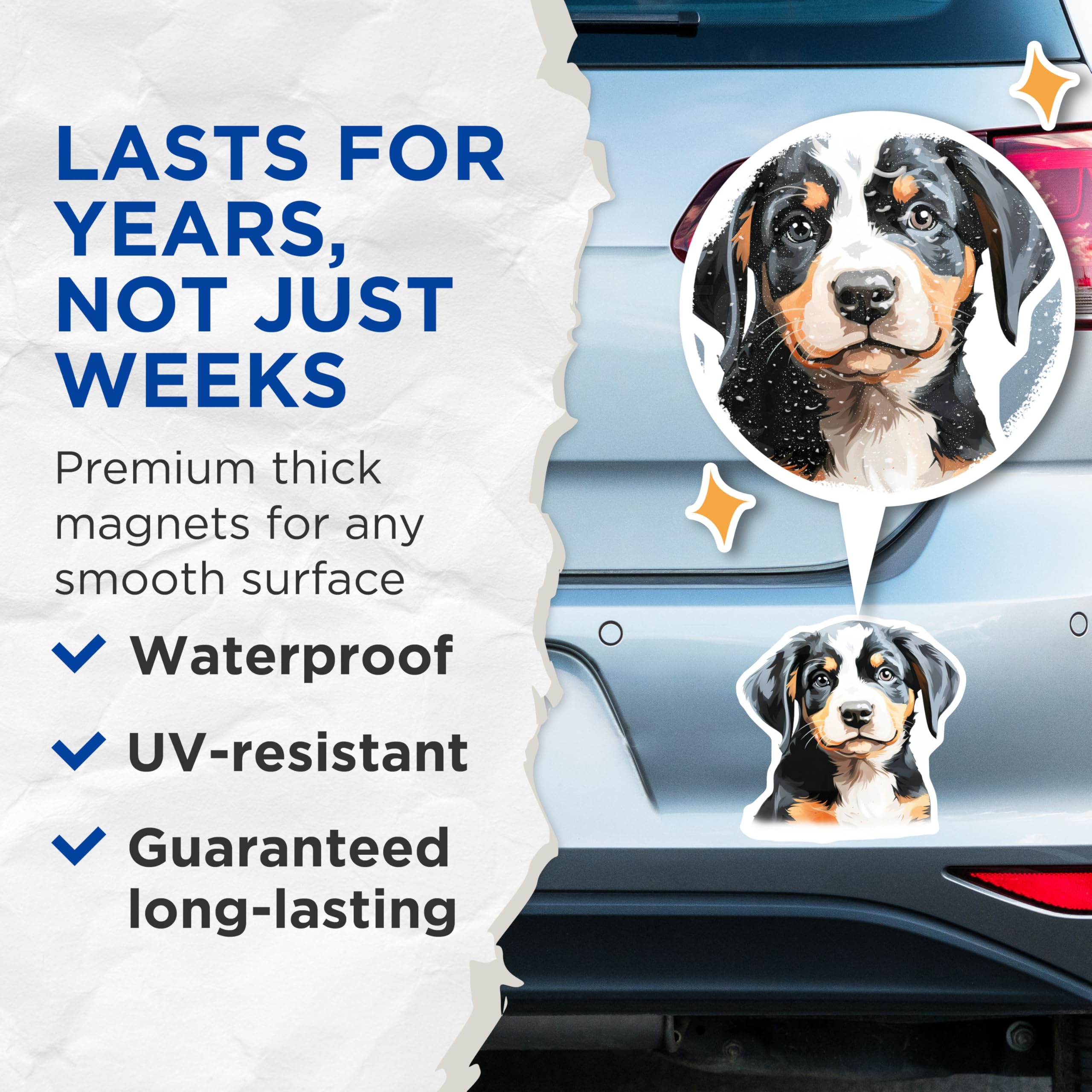 (2 Pack) Greater Swiss Mountain Dog Magnets - Cute Swissy Puppy Art - Dog Owner Home Decor - 5 Inches On Longest Side - Thick Durable Magnet - Made in USA - MAG27446