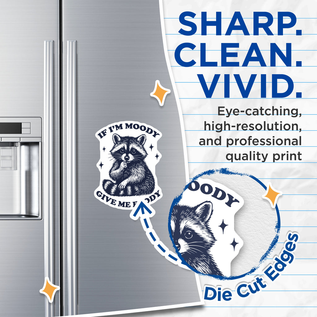 (2 Pack) Funny Raccoon Magnets - If Im Moody Give Me Foody - Humorous Animal Decor - Kitchen Refrigerator Item - 5 Inches On Longest Side - Thick Durable Magnet - Made in USA - MAG39708